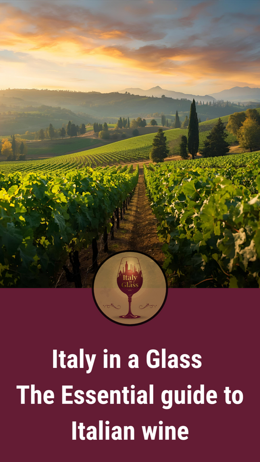 Italy in a Glass - The Essential Guide to Italian Wine